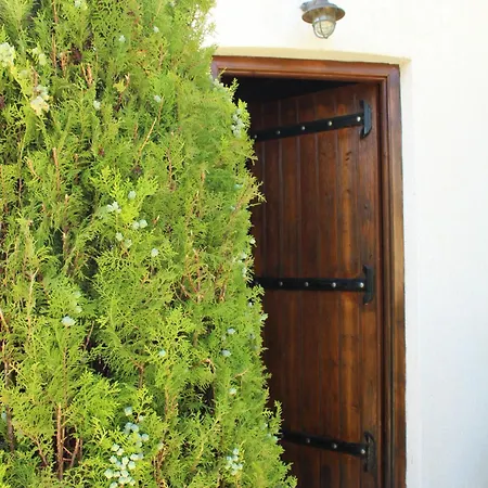 Kefalonian Oneira Tatil Evi Mousata